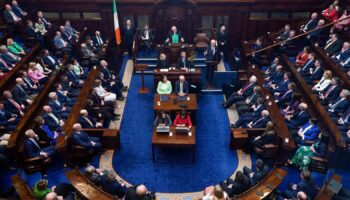 Irish parliament pictured last year. Pic: AP