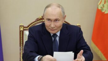 Putin will „Nussstrauch“ in Serie produzieren