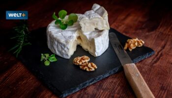 Warum der Camembert in Zukunft grün oder orange sein könnte