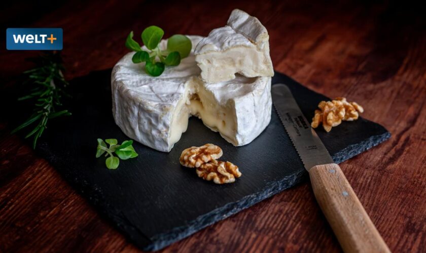 Warum der Camembert in Zukunft grün oder orange sein könnte