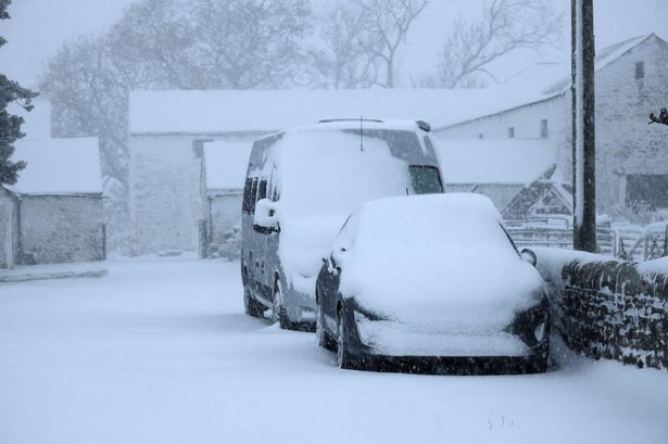 BREAKING: Storm Bert claims second victim as man in 60s killed by tree falling onto car