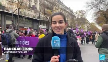 France : manifestations contre les violences faites aux femmes