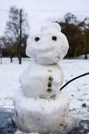 In Hamburg und Schleswig-Holstein ist in der Nacht der erste Schnee liegen geblieben. Foto: Christian Charisius/dpa