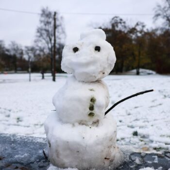 In Hamburg und Schleswig-Holstein ist in der Nacht der erste Schnee liegen geblieben. Foto: Christian Charisius/dpa