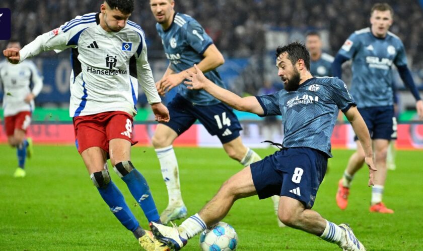 Schalke 04 erkämpft Punkt bei kriselndem HSV