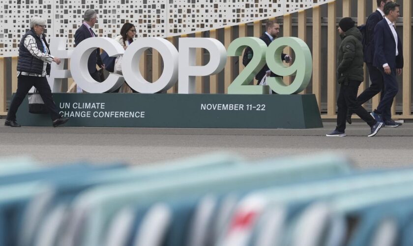 COP29: Weltgemeinschaft einigt sich auf neues Ziel zur Klimafinanzierung