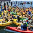 Klimaschützer hindern Frachter am Einlaufen in Kohlehafen