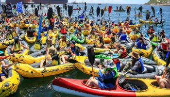 Klimaschützer hindern Frachter am Einlaufen in Kohlehafen