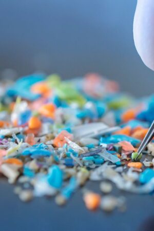 Macro shot of a person with medical gloves and tweezers inspecting a pile of micro plastics. Concept of water pollution and global warming. Macro shot of micro plastics. Cool blue filter applied.