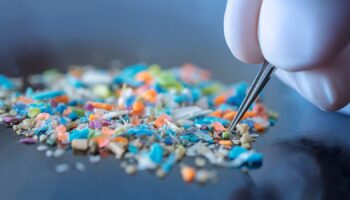 Macro shot of a person with medical gloves and tweezers inspecting a pile of micro plastics. Concept of water pollution and global warming. Macro shot of micro plastics. Cool blue filter applied.