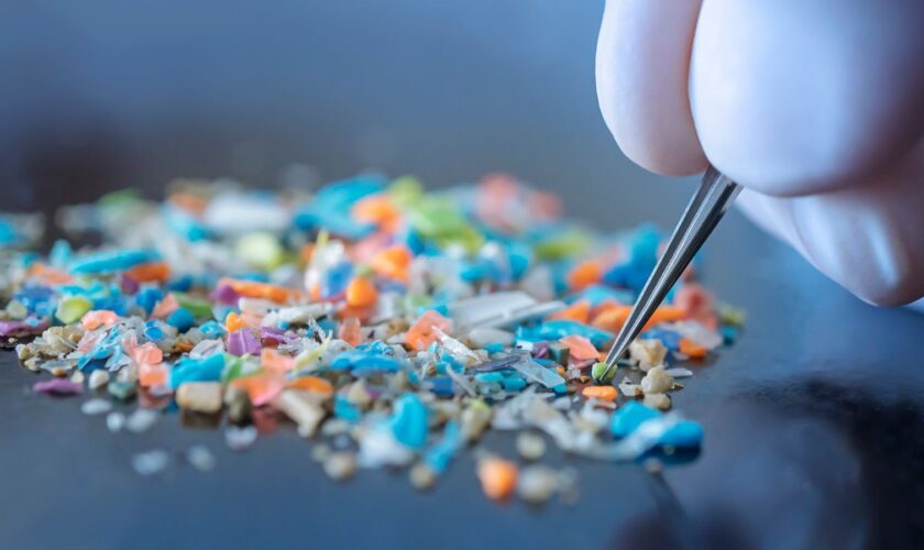 Macro shot of a person with medical gloves and tweezers inspecting a pile of micro plastics. Concept of water pollution and global warming. Macro shot of micro plastics. Cool blue filter applied.