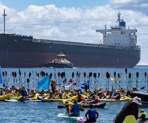 Australien: Klimaschützer hindern Frachter an Einfahrt in Kohlehafen