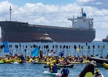 Australien: Klimaschützer hindern Frachter an Einfahrt in Kohlehafen