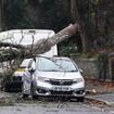 Storm Bert wind warnings: Forecasters warn strong gusts, heavy rain and thawing snow could cause MORE chaos as map shows over 200 flood alerts in place and fresh Met Office weather warnings issued