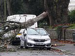 Storm Bert wind warnings: Forecasters warn strong gusts, heavy rain and thawing snow could cause MORE chaos as map shows over 200 flood alerts in place and fresh Met Office weather warnings issued