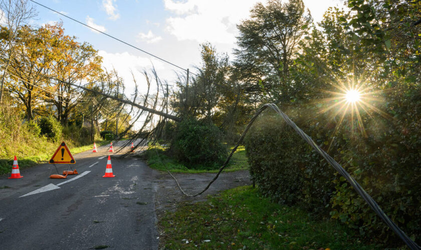 Tempête Caetano : 10 000 foyers encore privés d’électricité en Normandie et Pays de la Loire, six départements en vigilance orange