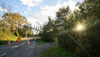 Six départements du centre-est en vigilance orange ce lundi pour vent violent