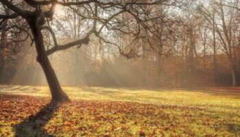 Wetter in den kommenden Tagen: Frühlingshafte Temperaturen und Sturm