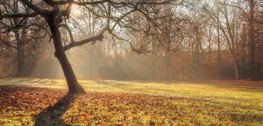 Wetter in den kommenden Tagen: Frühlingshafte Temperaturen und Sturm