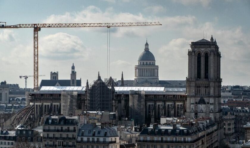 Espaces verts et logement social : le plan "bioclimatique" de Paris pour transformer la ville