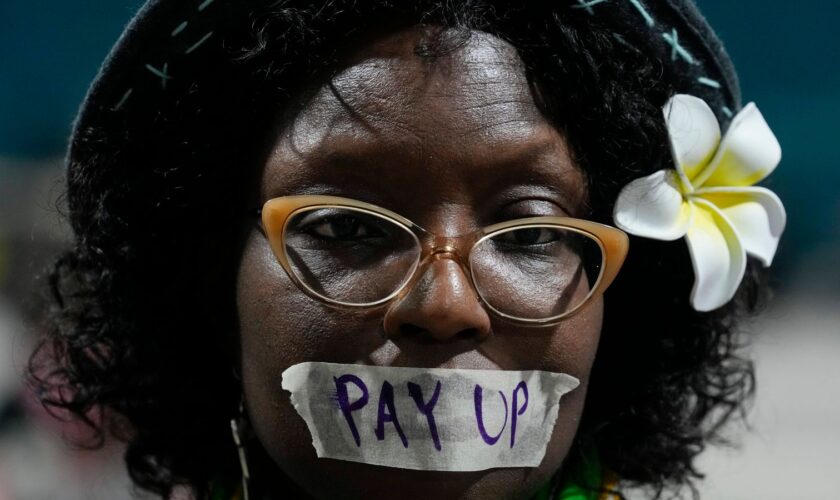 An activist during a demonstration for climate finance at the COP29. Pic: AP