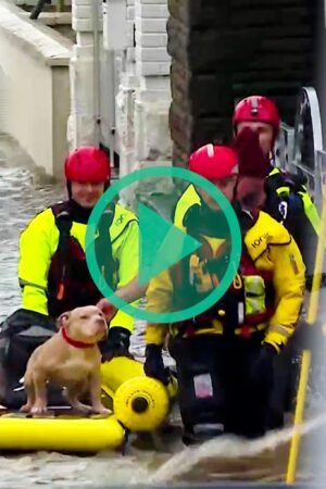 La tempête Bert touche le Royaume-Uni et l’Irlande, faisant au moins deux morts et de nombreux dégâts