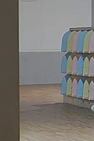 Stolen shoe mystery solved at Japanese kindergarten when security camera catches weasel in the act