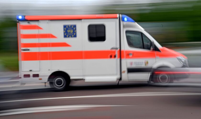 Fünf Menschen wurden verletzt, als ein Bus wegen eines Rehs bremste. (Symbolbild) Foto: Hendrik Schmidt/dpa-Zentralbild/dpa