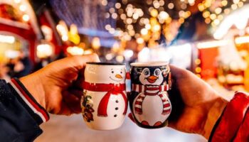 Glühwein-Tipps für den Weihnachtsmarkt