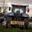 Colère des agriculteurs : blocages, opérations escargot… à quoi s’attendre cette semaine en France