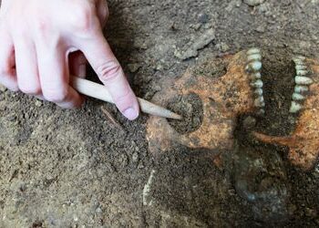 Rheinland-Pfalz: Archäologe unter Verdacht - Knochenfunde möglicherweise falsch datiert