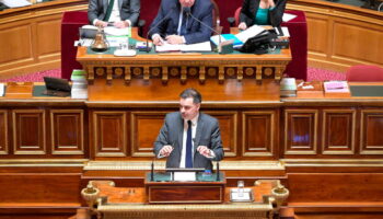 Budget 2025 : et soudain, le Sénat exista