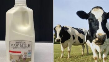 Bird flu virus found in California supermarket milk sparking huge product recall