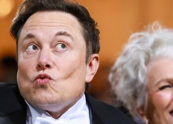 Elon Musks Mutter als Hardlinerin: Auch Plutokraten haben Helikoptermütter