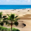 C'est le Sahara en bord de mer, cette plage unique est à visiter toute l'année - il y fait 25 degrés en ce moment !