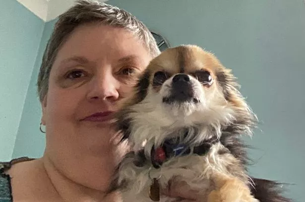 Mum saves tiny dog that had only ever been fed Chinese takeaways