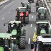 Blocages des agriculteurs, en direct : de nouvelles actions jusqu'à jeudi ! Un convoi en route pour Strasbourg