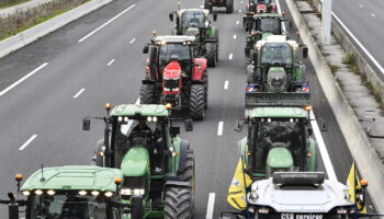 Blocages des agriculteurs, en direct : de nouvelles actions jusqu'à jeudi ! Un convoi en route pour Strasbourg