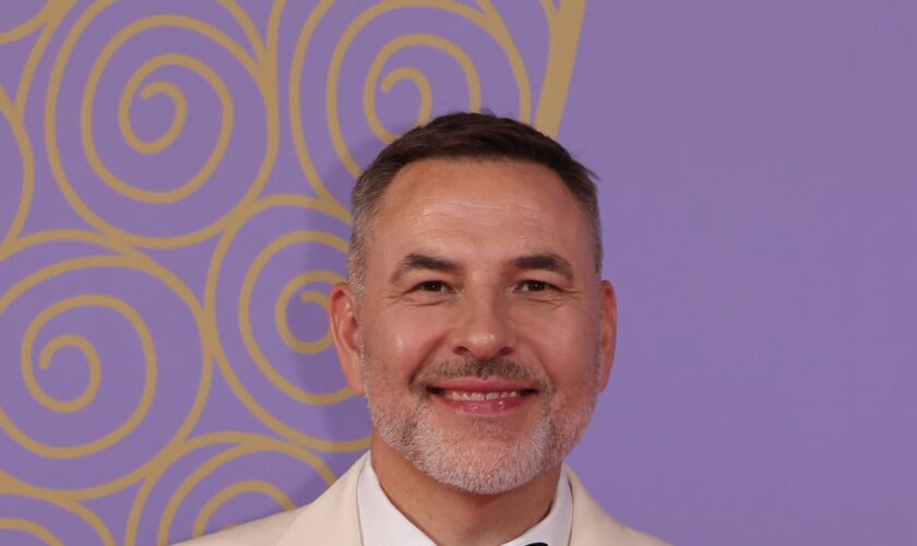 David Walliams says he’d identify as non-binary if he were younger