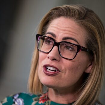 Kyrsten Sinema responds to Democrats admitting filibuster will help them stop Trump agenda: 'Schadenfreude'