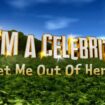 I’m a Celeb fans rejoice as Dean won’t be involved in next trial