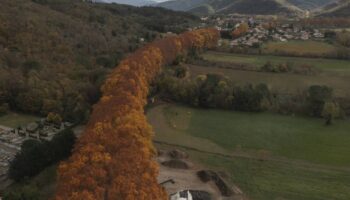 «Il faut retisser notre lien à la forêt»