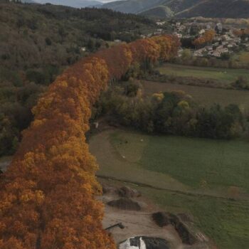 «Il faut retisser notre lien à la forêt»