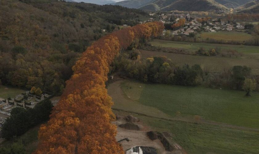 «Il faut retisser notre lien à la forêt»