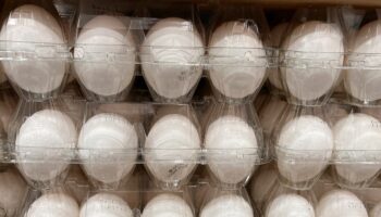 No Yolk! Egg prices jump by 63 percent in a year now costing an average of $3.37