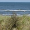 Nordsee: Kapitän eines Fischkutters wegen Koks-Schmuggel vor Insel Spiekeroog verurteilt