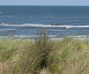 Nordsee: Kapitän eines Fischkutters wegen Koks-Schmuggel vor Insel Spiekeroog verurteilt