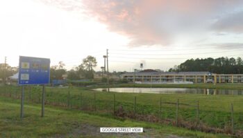 View of a pond off Interstate 95, Brunswick, Georgia, Nov 2024