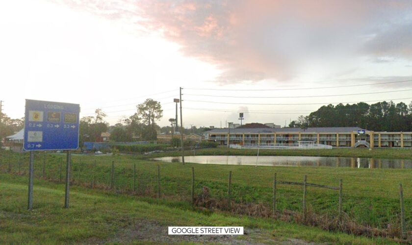 View of a pond off Interstate 95, Brunswick, Georgia, Nov 2024