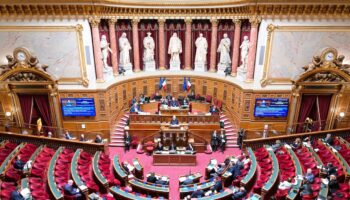 La ministre de la Santé Geneviève Darrieussecq (c) au Sénat le 18 novembre 2024 à l'occasion du début de l'examen du budget de la Sécu